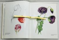 Porcelain Painting with Uwe Geissler