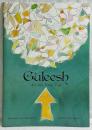 Guleesh: A Celtic Fairy Tale