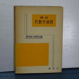 精説 代数学演習