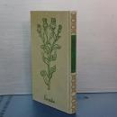 錬金術　タロットと愚者の旅