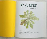 たんぽぽ