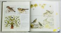 Porzellanmalerei – Vögel und Schmetterlinge
Porcelain Painting – Birds and Butterflies