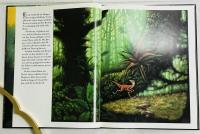Pernix (Die Abenteuer eines kleinen Sauriers im Urzeitwald)