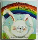 What Makes a Rainbow?