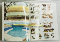 Animal Sticker Pictures