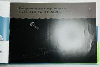 Ellisella THE CORAL エリセラさんご