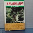 多摩の野鳥と野草