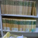 中国古典新書1～100+索引、揃101冊／続編1～29、29冊 計１３０冊