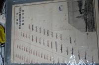 昭和初期海軍資料一括　昭和二年観艦式式場図、配列図、列国艦隊戦時編制図、絵高雄