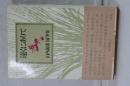 遠くにありて　山内義雄随筆集