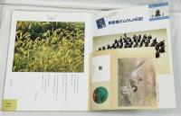 メルヘン•ファンタジー&イメージアート 月間MOE 11月号