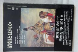 別冊　環　清朝とは何か