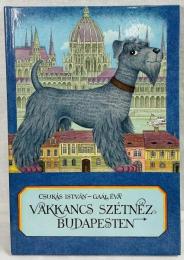 VAKKANCS SZETNEZ BUDAPESTEN