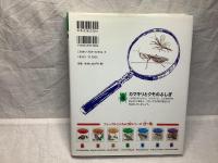 ファーブルこんちゅう記 カマキリとクモのふしぎ 4