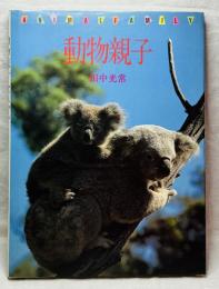 動物親子