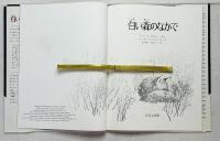 白い森のなかで