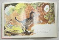 SEBASTIAN EXPLORES