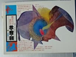 イメージの博物誌　５　霊・魂・体