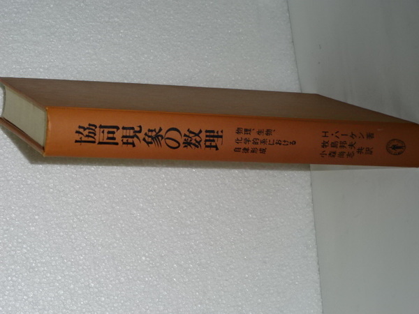 協同現象の数理―物理、生物、化学的系における自律形成 協同現象の数理 物理、生物、化学的系における自律形成/H