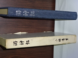游神帖