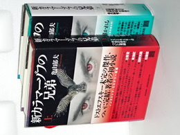 新カラマーゾフの兄弟　上下
