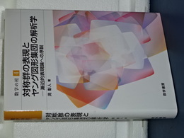 対称群の表現とヤング図形集団の解析学　数学の杜　４