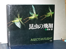 昆虫の飛翔