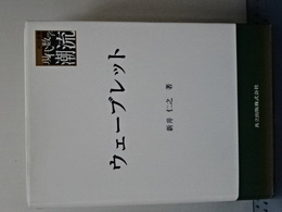 ウェーブレット　共立叢書・現代数学の潮流