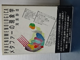 メタファーの現象学