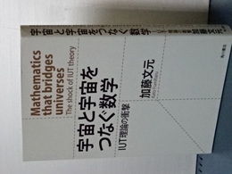 宇宙と宇宙をつなぐ数学　ＩＵＴ理論の衝撃