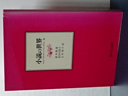 小説の世界