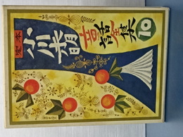 定本　小川未明童話全集　１０　