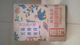 長篇小説名作全集 12