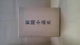 新聞小説史