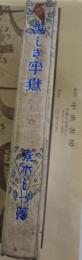 美しき牢獄 : 小説