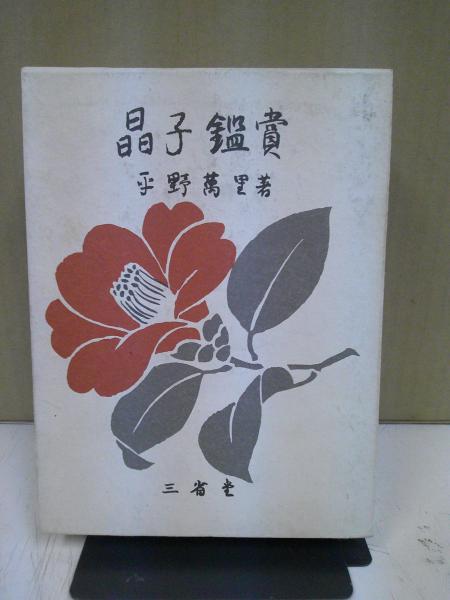 平成新編ダラニ大辞典(有賀要延 編著) / 中央書房 / 古本、中古