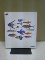 世界の熱帯魚