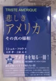 悲しきアメリカ : その真の様相