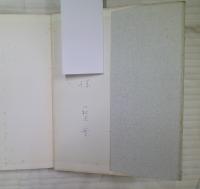 沖縄に捧げる歌 : 萩原実詩集