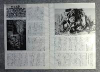 東松照明にみる戦後写真の軌跡ー連載９、鈴木志郎康の新・映像論　藤原新也