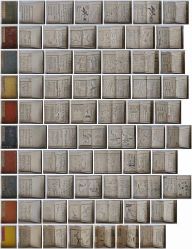 特別展観 中世の貴族－重要文化財久我家文書修復完成記念(國學院
