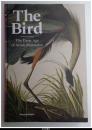 洋書）Ｔｈｅ　Ｂｉｒｄ　−Ｔｈｅ　Ｇｒｅａｔ　Ａｇｅ　ｏｆ　Ａｖｉａｎ　Ｉｌｌｕｓｔｒａｔｉｏｎ（鳥－鳥類図譜の黄金時代）