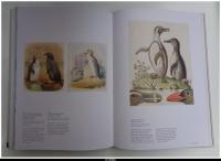 洋書）Ｔｈｅ　Ｂｉｒｄ　−Ｔｈｅ　Ｇｒｅａｔ　Ａｇｅ　ｏｆ　Ａｖｉａｎ　Ｉｌｌｕｓｔｒａｔｉｏｎ（鳥－鳥類図譜の黄金時代）