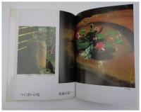 花は野にあるように　「なげいれ」のすすめ