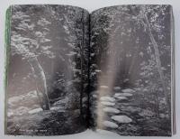 雑木と雑木の庭－ガーデンライフ別冊デラックス版