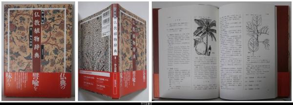 新装版 仏教植物辞典 和久博隆 編著 古本 中古本 古書籍の通販は 日本の古本屋 日本の古本屋