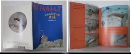 月刊たくさんのふしぎ３２８号（２０１２年７月号）－ヒトスジギンポ　笑う魚