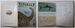 月刊たくさんのふしぎ５号（１９８５年８月号）－恐竜はっくつ記　－「かがくのとも」小学生版