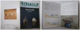 月刊たくさんのふしぎ１２８号（１９９５年１１月）－水中さつえい大作戦