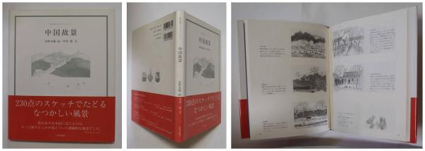 月刊 たくさんのふしぎ お姫さまのアリの巣たんけん 1997年9月号